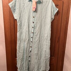 Light Blue Button-Down Dress